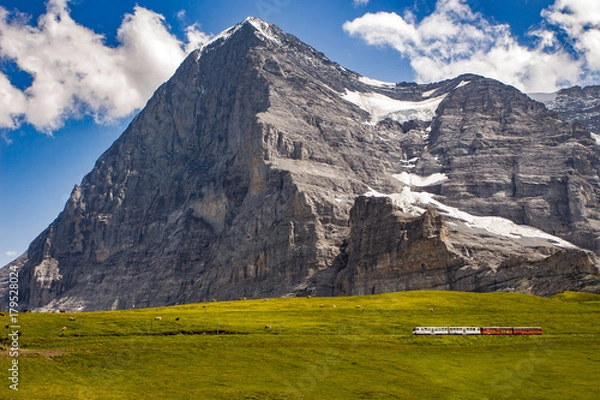 Obraz Majestic north face of Eiger mountain (3.967m - 13.015ft) and train to Jungfraujoch in the Bernese Alps in summer. Kleine Scheidegg, Bernese Oberland, Switzerland.