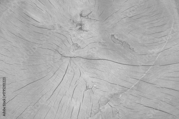 Fototapeta transparent wood texture layer background