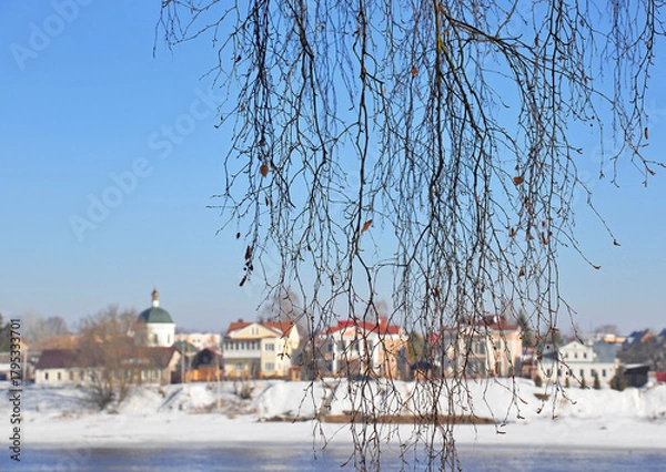 Fototapeta Bare branches of birch tree, blurred cityscape 