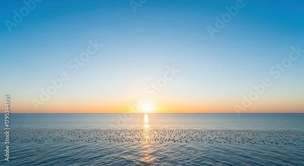Obraz Golden Hour Seascape with Water Birds and Calm Reflections