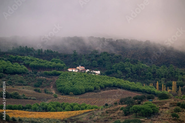 Obraz casa em colina verde