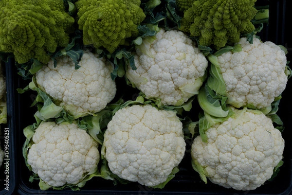 Obraz cauliflower on a green background