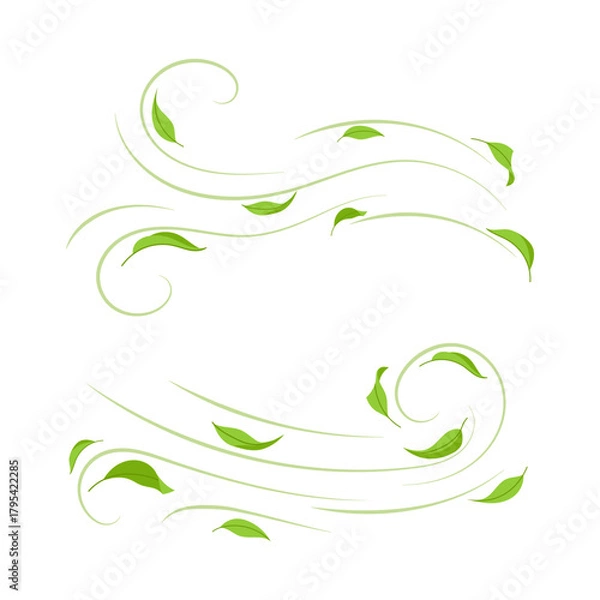 Fototapeta Tea leaves swirl in the stream. Symbol of freshness. Green leaves float in air. Spring decorative element for seasonal and natural designs.