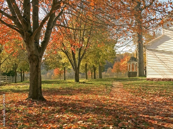 Obraz Krajowa jesień
