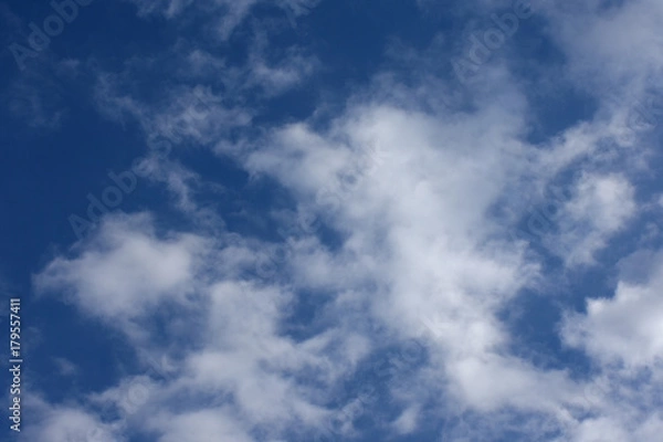 Fototapeta 青空と雲「空想・雲のモンスターたち」