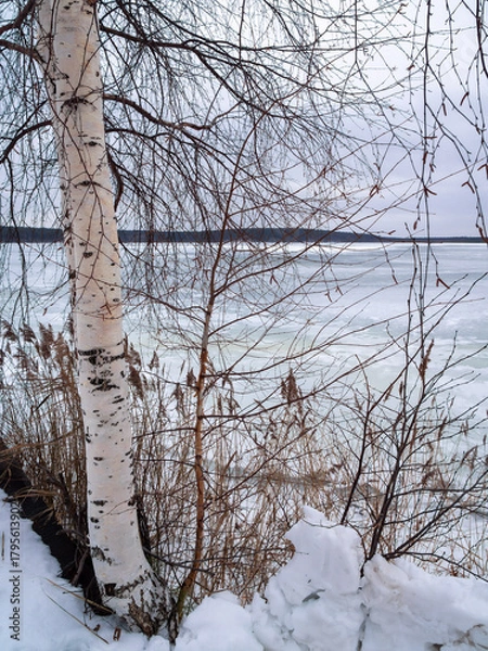 Fototapeta Lake Chusovoe in Yekaterinburg covered with ice
