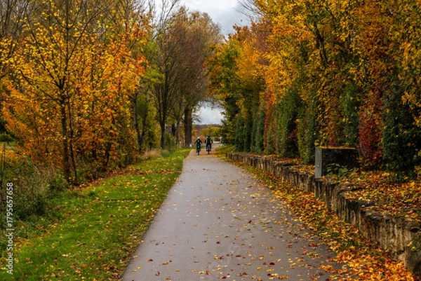 Fototapeta Autumn path with two cyclists