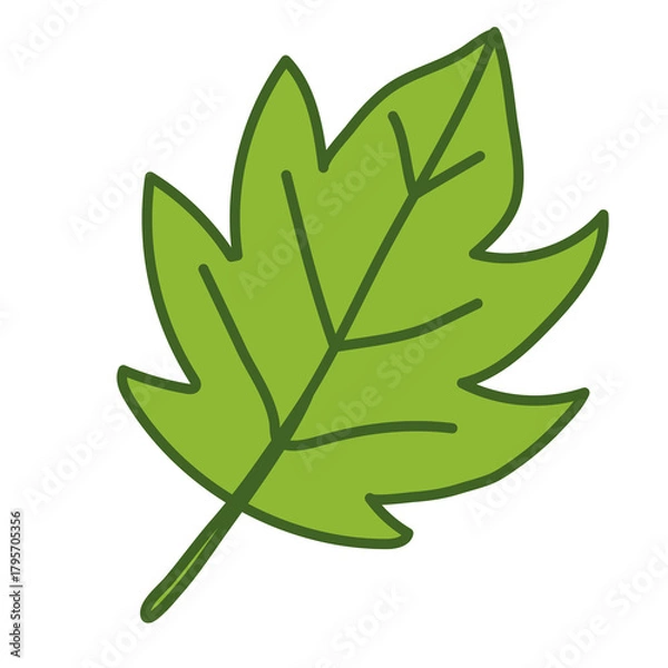 Obraz green leaf icon
