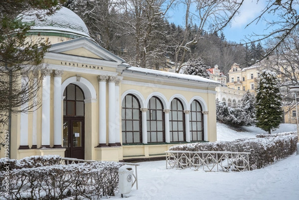 Obraz Marienbad Winter