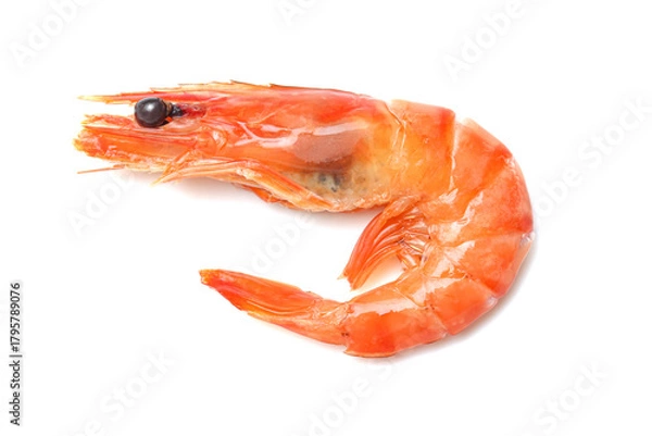 Obraz The shrimp has a distinct orange and pink color on white background, characteristic of being cooked. It is curled slightly into a 'C' shape