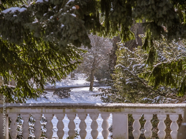 Obraz Winter Kurpark Marienbad