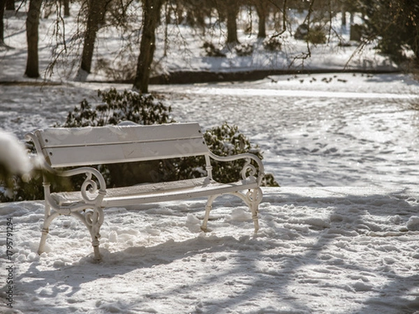 Obraz weiße Bank im Winter