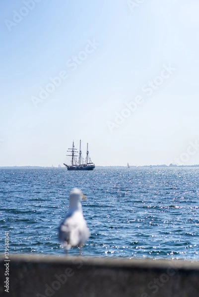 Obraz seagull and ship with blurred foreground