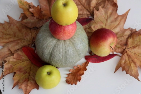 Obraz Pumpkin and apples laying  on the table