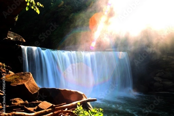 Obraz waterfall in the park