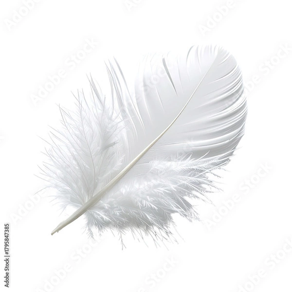 Fototapeta Delicate white feather with detailed barbs on a solid black background