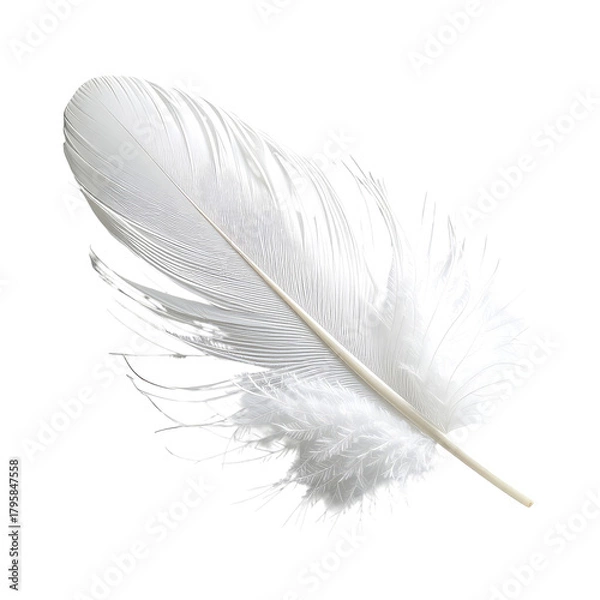 Fototapeta Elegant white feather with delicate fibers on a dark background