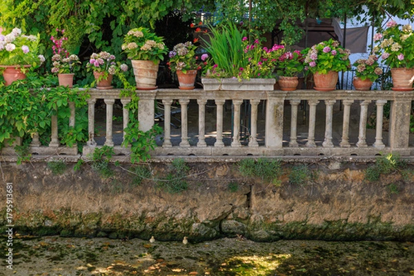 Obraz Potted plants arranged on a stone terrace in a vintage old town courtyard with calm water below. Concept of plant care, rustic atmosphere and charming historic color.