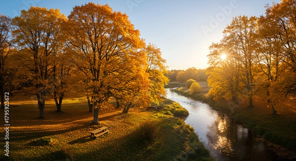 Obraz A dense autumn forest with golden sunlight streaming through the trees, creating a warm and serene atmosphere among the fallen leaves.