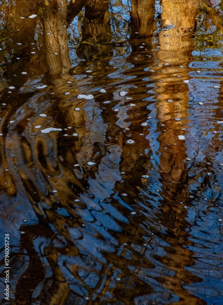 Obraz 689-66 Foam Dots and Ripples