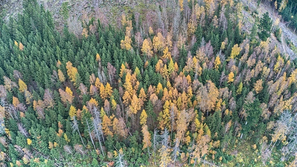 Obraz Schirnrod. Impressionen aus der Luft. 