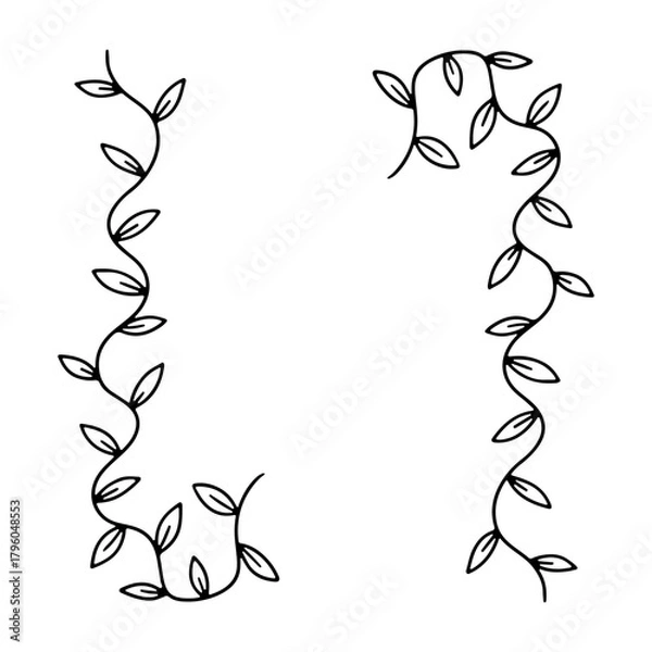 Fototapeta Hand drawn simple vine with leaves garland border vector illustration. Monochrome doodle botanical frame card template