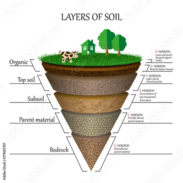 Fototapeta Layers of soil, education diagram. Mineral particles, sand, humus and stones, clay, natural fertilizer. Template for banners, page, posters, vector illustration.