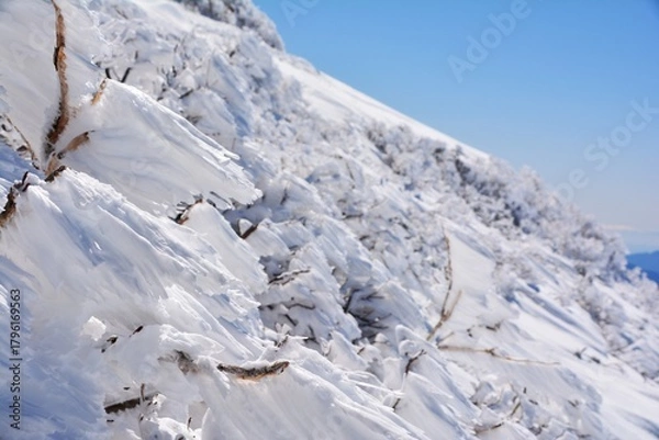 Fototapeta 雪山の芸術的なエビのしっぽ
