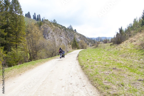 Obraz Path in the mountain on the spring time