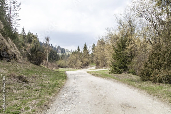 Obraz Path in the mountain on the spring time
