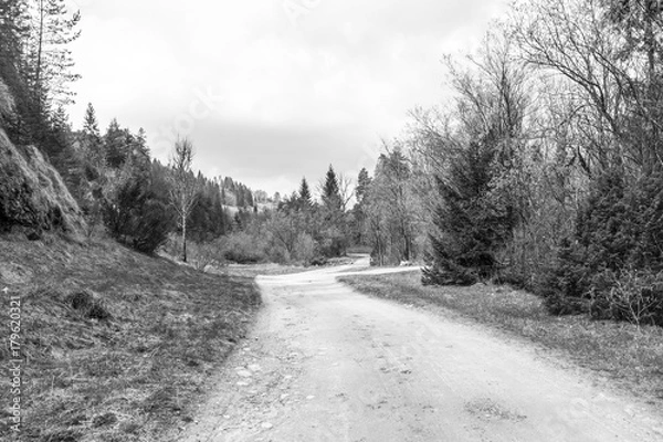 Obraz Path in the mountain on the spring time