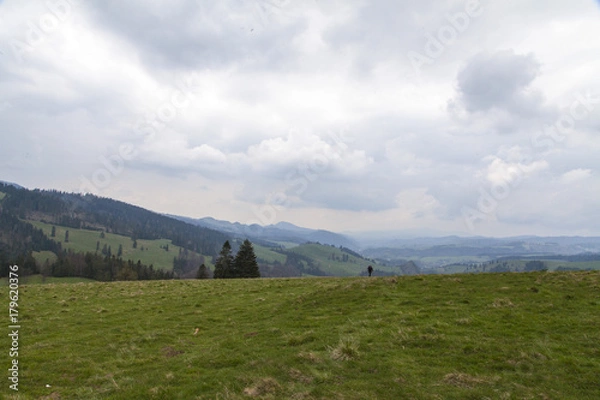 Obraz beautiful meadow on the mountains in the spring time