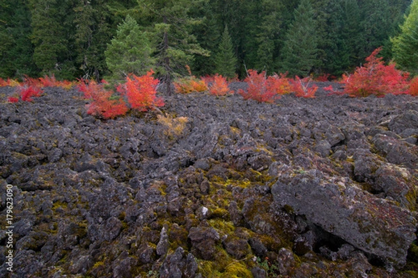 Obraz Fall Lava Rocks