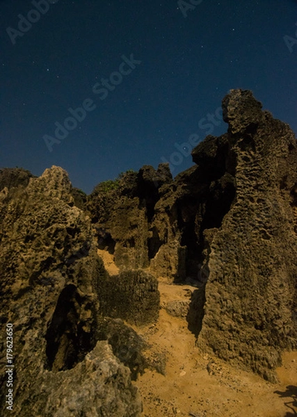 Obraz Moonlit Beach Landscape