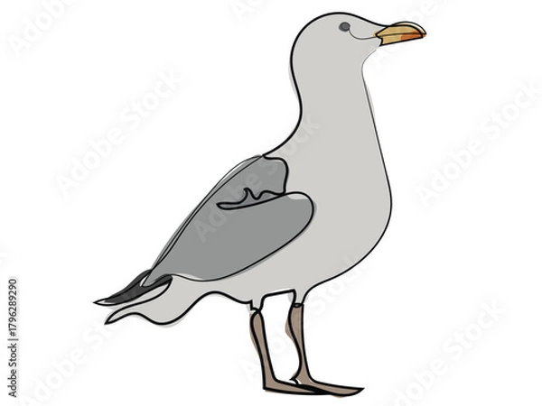 Obraz Seagull in continuous line drawing style