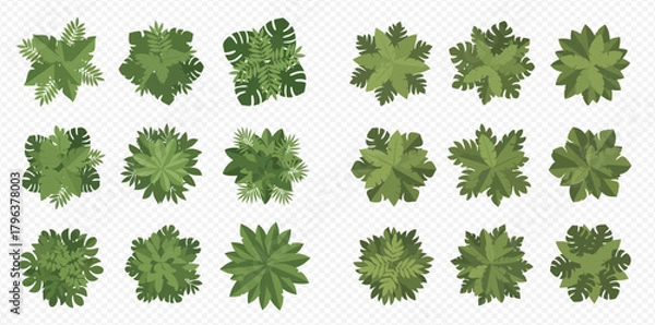 Fototapeta Collection of green tree tops seen from above, perfect for architectural plans and garden layouts.