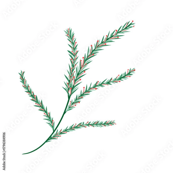 Obraz vector illustration of a plant