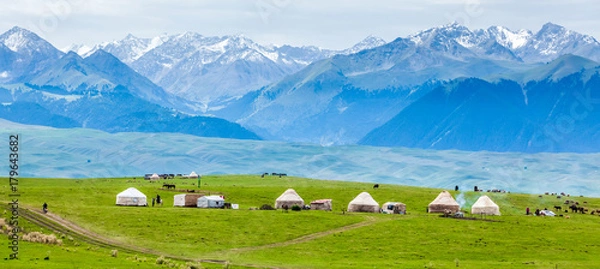Obraz grassland in Xinjiang