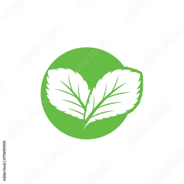 Obraz Simple mint logo leaf vector and symbol