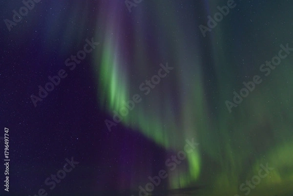 Fototapeta Curtains of green light and magenta hues merge in the vertical display of the Northern Lights, highlighting the densely scattered stars in the dark sky
