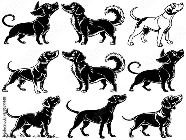 Obraz Dog silhouette black vector white background