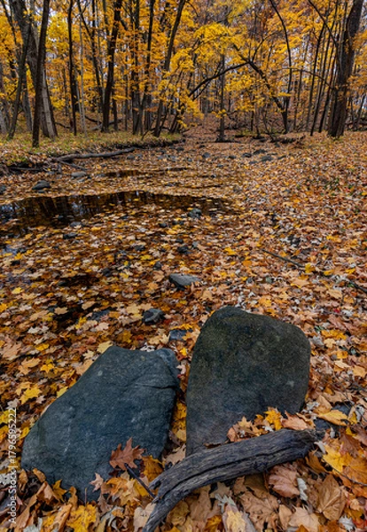 Obraz 741-08 Autumn Rocks