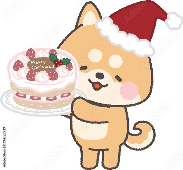 Fototapeta クリスマスケーキを持って微笑む茶色の柴犬