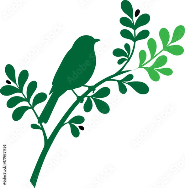 Fototapeta Green silhouette of a bird perched on a branch with leaves