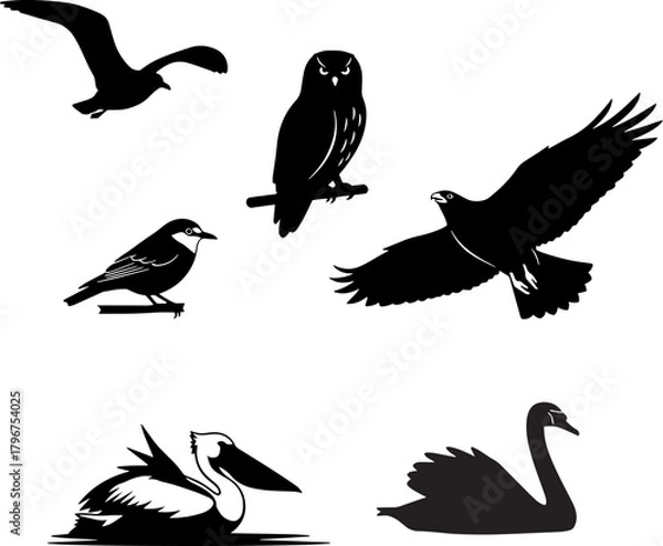 Fototapeta Diverse bird silhouettes: owl, eagle, seagull, robin, pelican, swan