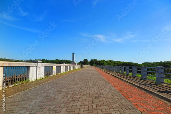 Fototapeta 快晴のあおぞらの狭山湖の風景11