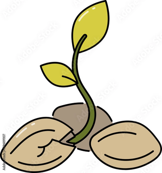 Fototapeta Plant bud in seed line icon