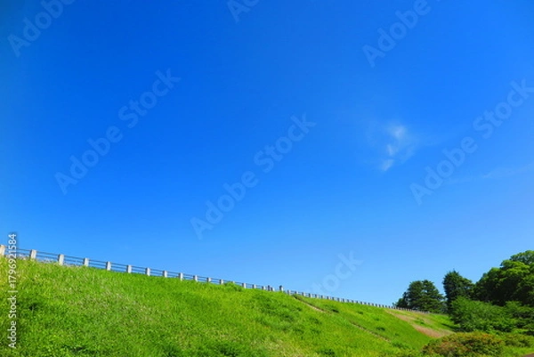 Fototapeta 快晴の青空と緑の草が生い茂る堤体の歩道の風景8