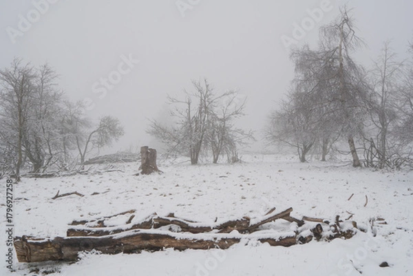 Fototapeta Landscape view at the german mountain called Kahlen Asten