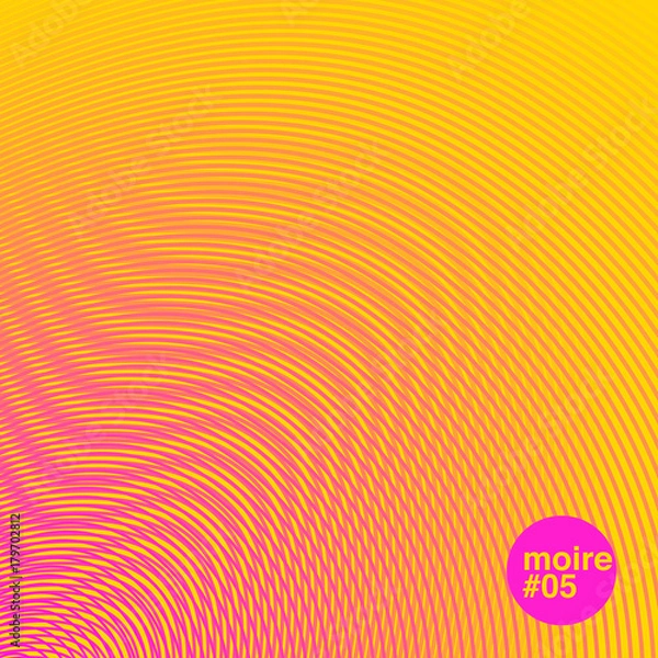 Obraz colourful moire wave pattern.